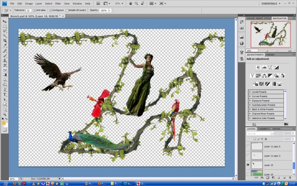 Creation of Branch: Step 9